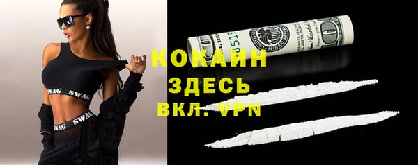 не бодяженный Алексин