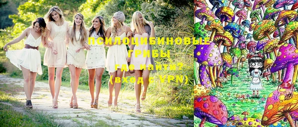стафф Алексеевка