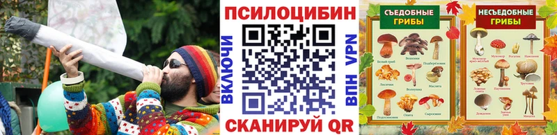 цены   OMG вход  Галлюциногенные грибы Cubensis  Суджа 